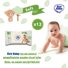 Evy Baby Islak Havlu Soft 12'li Islak Havlu 672 Yaprak