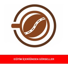 Sanal Öğretim Logo Tasarım Video Ders Eğitim Seti