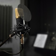 3C Store Siyah Altın Örgü Büyük Diyaframlı Kondenser Mikrofon Kayıt Odası Ktv Kondenser Mikrofon Seti Içın (Yurt Dışından)