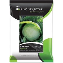 Küçük Çiftlik Lahana Yalova 10 gr