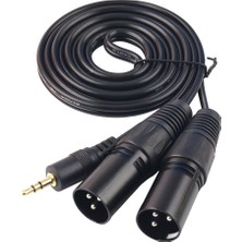 3,5 mm (1/8 Inç) Mini Trs Dual Xlr 3 Pin Erkek Fiş Y Splitter Kablosu