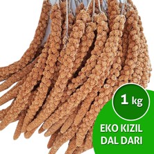 Dal Darı Net Eko Kızıl Dal Darı 1 Kg. Muhabbet Kuşu Yemi (Organik Dal Darı)