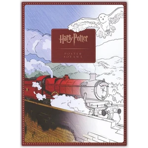 Harry Potter Poster Boyama Seti