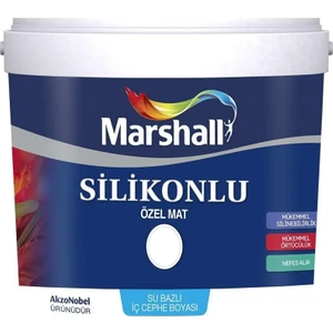 Silikonlu Özel Mat Duvar Boyası 1 Lt