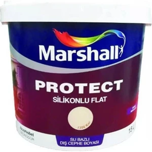 Protect Silikonlu Flat Bc Baz Dış Cephe Boyası 15 Lt