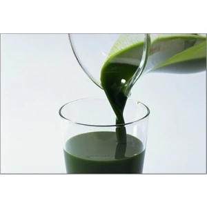 Yeşil Midye Konsantresi 50 ml