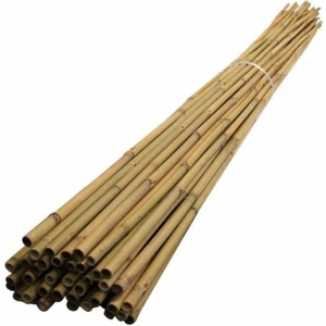Fidan Destek Çubuğu Kamış 140-150CM 50  Adet