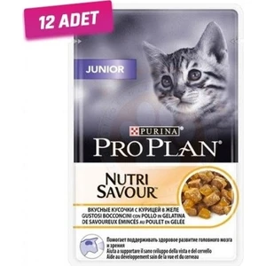 Pro Plan 12 Adet - Pro Plan Kitten Yavru Kedi Pouch Konserve 85 gr