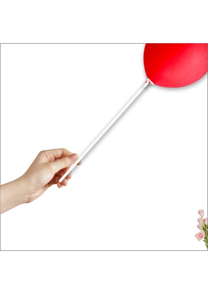 Balon Çubuğu ve Takma Aparatı, Balon Hariç - 10 Set