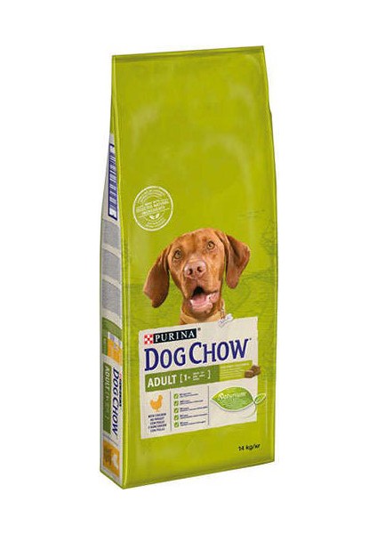 Dog Chow Purina Dog Chow Tavuklu Yetişkin Köpek Maması 14 kg