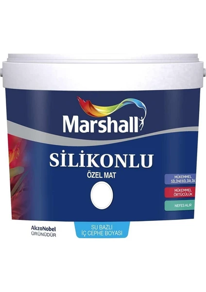 Silikonlu Özel Mat Duvar Boyası 1 Lt