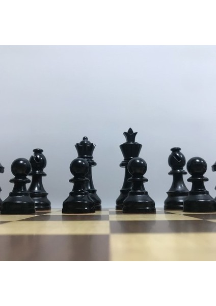 Plastik Taşlı Satranç Takımı, Ahşap Zeminli Satranç Takımı, Lüx Satranç Takımı modelleri