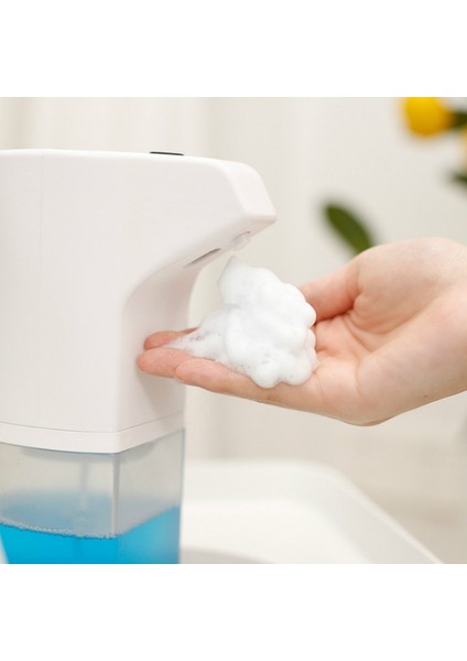 Beyaz Sabunluk (Yurt Dışından)