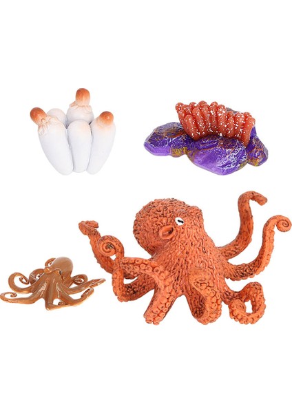 Devilfish Oyuncak Hayvan Büyüme Döngüsü Öğretim Yardımı Katı Plastik Yaşam Döngüsü (Yurt Dışından)