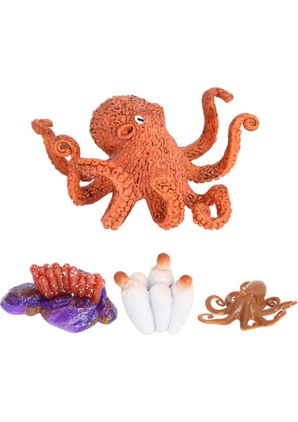 Devilfish Oyuncak Hayvan Büyüme Döngüsü Öğretim Yardımı Katı Plastik Yaşam Döngüsü (Yurt Dışından) fiyatları
