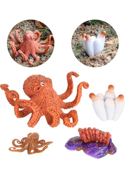 Devilfish Oyuncak Hayvan Büyüme Döngüsü Öğretim Yardımı Katı Plastik Yaşam Döngüsü (Yurt Dışından) fırsatları