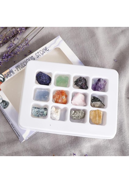 Eğitim Jeoloji Bilim Seti Kaya ve Mineral Koleksiyonu PK546-5 Paket 12 (Yurt Dışından)