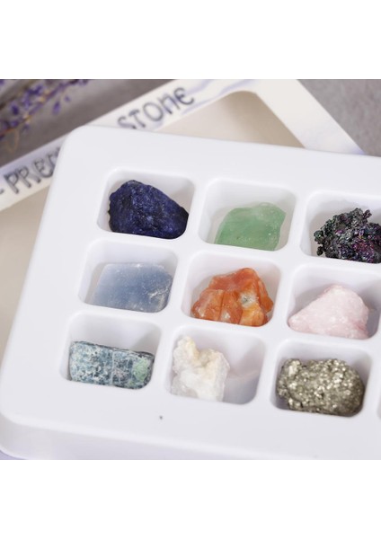 Eğitim Jeoloji Bilim Seti Kaya ve Mineral Koleksiyonu PK546-5 Paket 12 (Yurt Dışından)