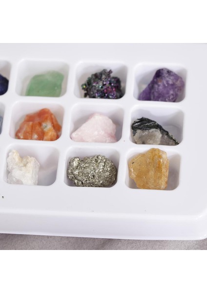 Eğitim Jeoloji Bilim Seti Kaya ve Mineral Koleksiyonu PK546-5 Paket 12 (Yurt Dışından)
