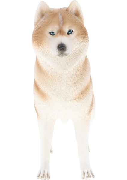 2 Adet Simülasyon Husky Köpek Pet Hayvan Model Şekil Oyuncaklar Heykelcik Ev Dekorasyonu (Yurt Dışından)