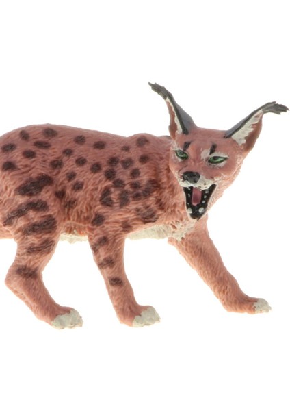 2 Parça Simülasyon Leptailurus Serval Model Oyuncak Figürinler Playset Çocuklar Hediye (Yurt Dışından) fiyatları