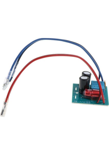 2x2 Yollu Ses Hoparlör Frekans Bölücü Modülü Tiz Bas