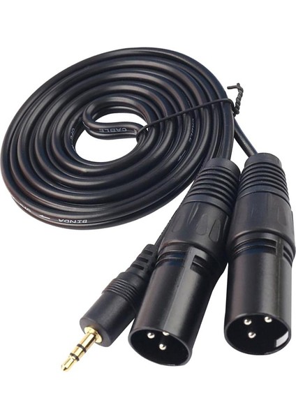 3,5 mm (1/8 Inç) Mini Trs Dual Xlr 3 Pin Erkek Fiş Y Splitter Kablosu
