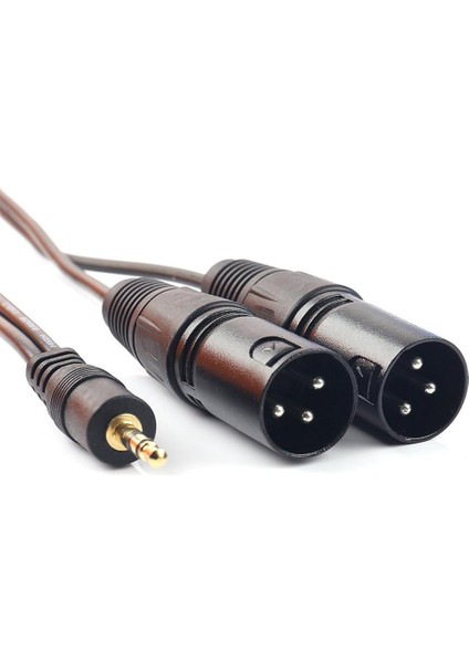 3,5 mm (1/8 Inç) Mini Trs Dual Xlr 3 Pin Erkek Fiş Y Splitter Kablosu