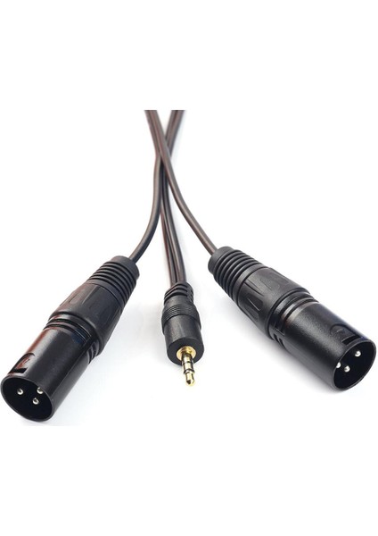 3,5 mm (1/8 Inç) Mini Trs Dual Xlr 3 Pin Erkek Fiş Y Splitter Kablosu