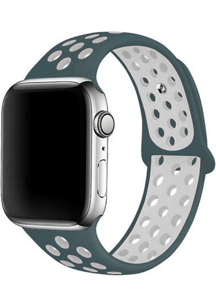 Apple Watch Uyumlu 38MM Krd-02 Silikon Kordon Renk NO36