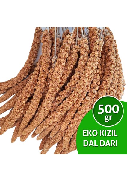 Dal Darı Net Eko Kızıl Dal Darı 500 gr Muhabbet Kuşu Yemi (Organik Dal Darı)