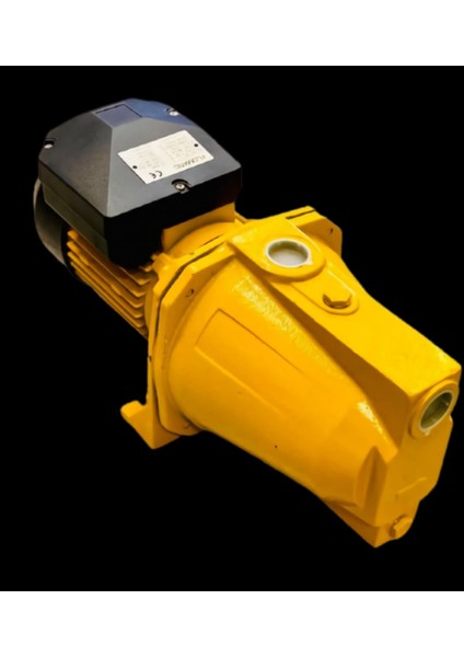 Flomatic Pm 100 Jet Pompa