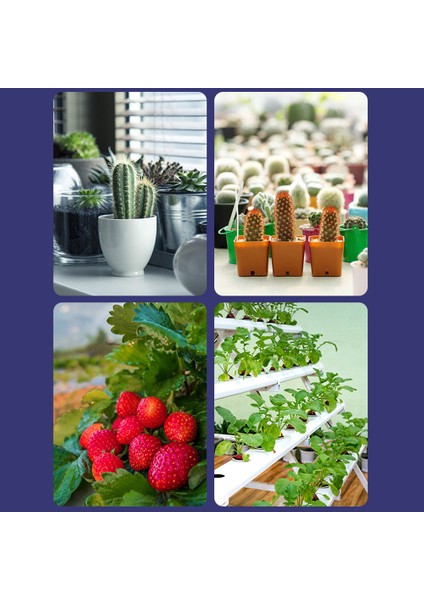 LED Iç Mekan Bitkileri Için Büyüyen Ampul Kırmızı ve (Yurt Dışından) fiyatları