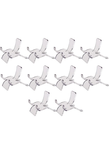 Clear Akrilik Ekran Standı Raf Raf Inerals Kristal Bilyalı Deniz Kabukları M (Yurt Dışından)