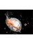 Su Piresi Daphnia Besini 50 gr 3