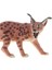 2 Parça Simülasyon Leptailurus Serval Model Oyuncak Figürinler Playset Çocuklar Hediye (Yurt Dışından) 2