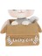 Bir Kutuda 2x Sevimli Kedi Bobblehead Hayvan Bebek Araba Pano Ev Dekor (Yurt Dışından) 4