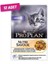12 Adet - Pro Plan Kitten Yavru Kedi Pouch Konserve 85 gr 1