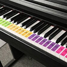 Perfk Renkli Piyano Klavye Çıkartmaları Çocuklar Için Çıkarılabilir Yeni Başlayanlar Piyano Öğrenme (Yurt Dışından)