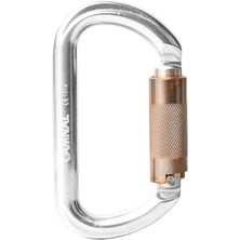 Homyl 2 Adet 25KN Büküm Kapısı Otomatik Kilitleme Karabina Karabiner Tırmanma Tırmanma Için (Yurt Dışından)