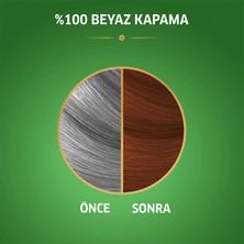 Wella Naturals Saç Boyası Çarpıcı Bakır 6/34