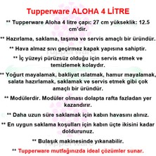 Tupperware Aloha 4 Litre Saklama Servis Kabı Hsgl