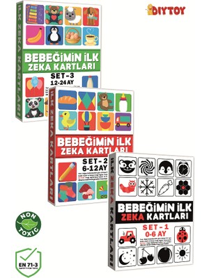 Diy Toy Bebeğimin Ilk Zeka Kartları 3'lü Set