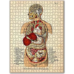 Insan Vücudu Haritası Eski 255 Parça Puzzle Yapboz Mdf (Ahşap)