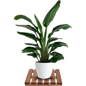 Tekerleksiz Ahşap Saksı Altlığı Damacana Tüp Saksı Sehpası 30X30 cm