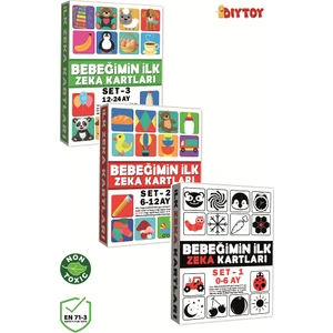 Diy Toy Bebeğimin Ilk Zeka Kartları 3'lü Set