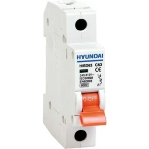 Hyundaı HIBD-63E1P/50-C  1p 50A  1 Kutuplu,3 Ka Kesme Kapasiteli,c Tipi Otomatik Sigorta