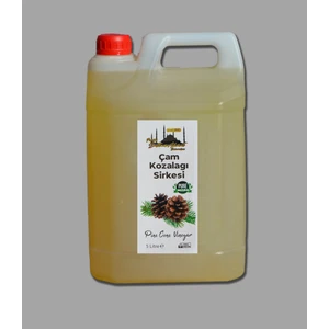 Çam Kozalağı Sirkesi 5lt