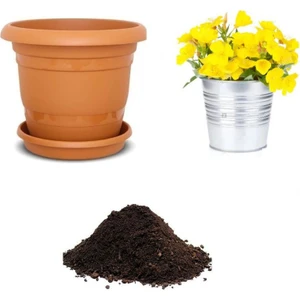 Serdar Çam Tohumculuk Nadir Ezan Çiçeği Tohumu Ekim Seti