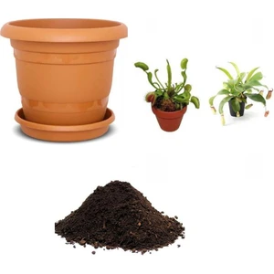 Serdar Çam Tohumculuk  Venüs Fly Trap ve Nephentes Tohumu Ekim Seti